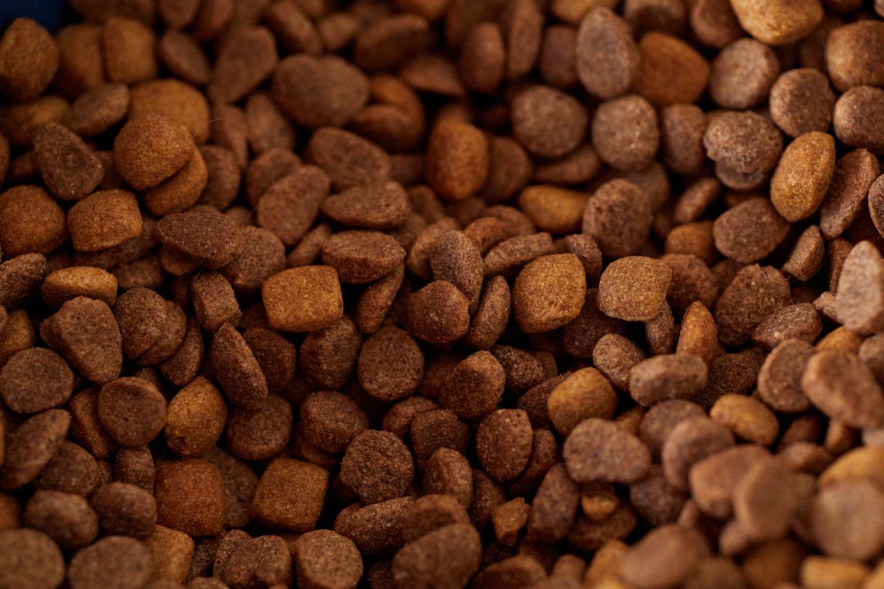 Feed pellets close up on the production line