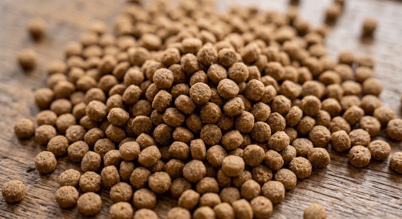 Close-up of Koi Fish Feed floating pellets